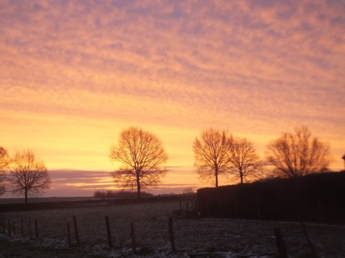 Danielle B - Cambron-Saint-Vincent (Lens)