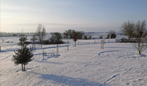 Françoise D. - Horrues (Soignies)