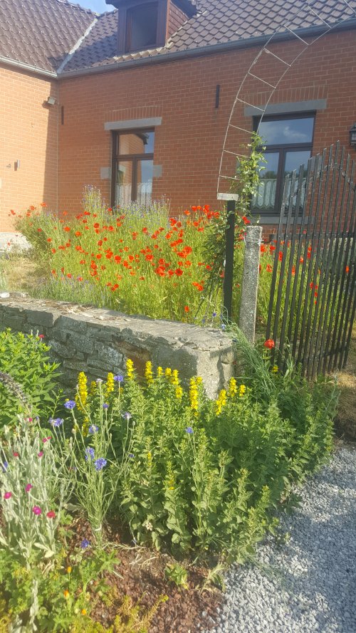 Patricia D. - Horrues (Soignies