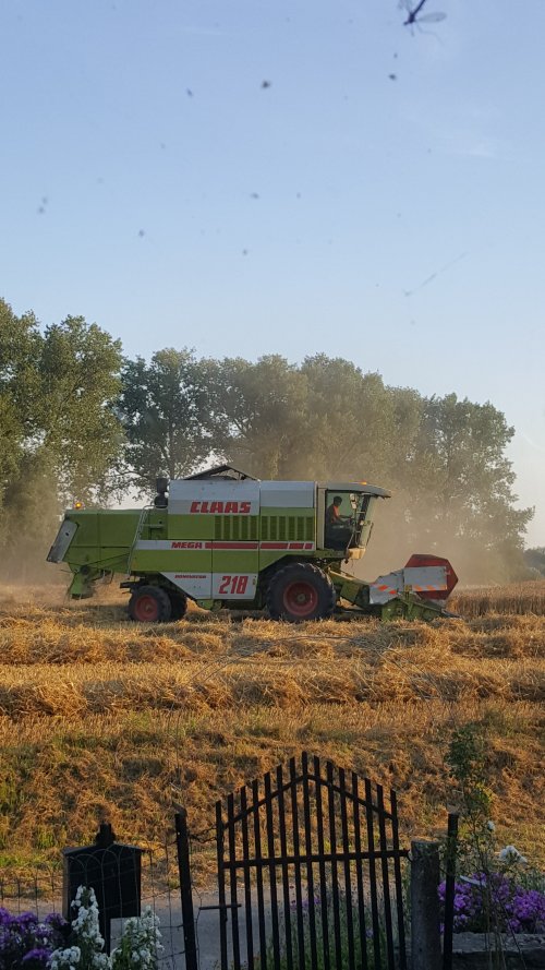 Alain R. - Horrues (Soignies)