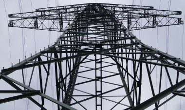 Revolht rejoint les conclusions du Dr Westermann et vice-versa !